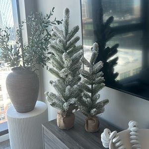 Pottery Barn Flocked Christmas Trees